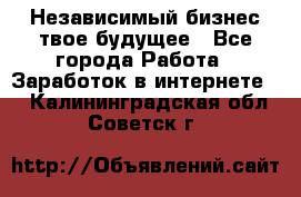 Независимый бизнес-твое будущее - Все города Работа » Заработок в интернете   . Калининградская обл.,Советск г.